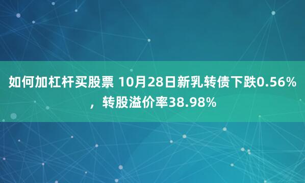 如何加杠杆买股票 10月28日新乳转债下跌0.56%，转股溢价率38.98%
