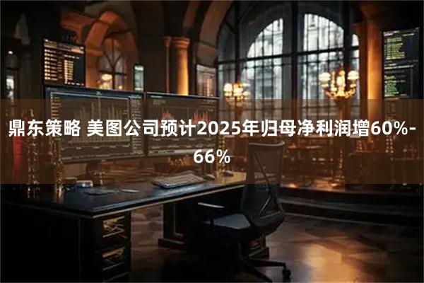鼎东策略 美图公司预计2025年归母净利润增60%-66%